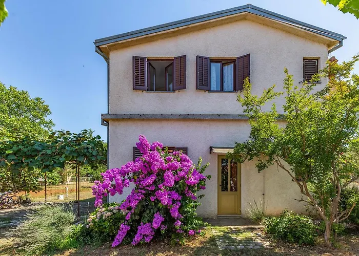 Appartement One-bedroom In *